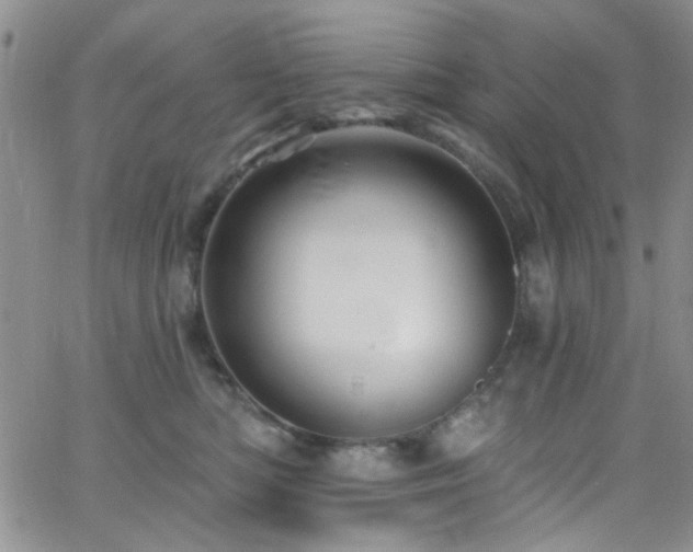 X0000062790422200512221355