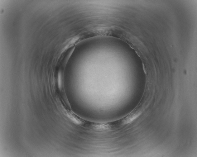 X0000062790432200512221355