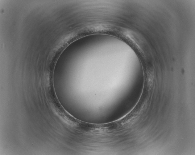 X0000062790447200512221355