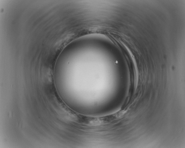 X0000062790470200512221355