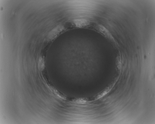 X0000062790471200512221355