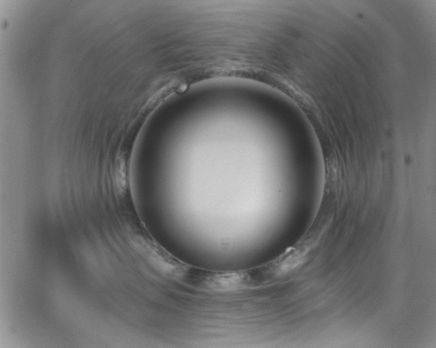 X0000062790479200512221355