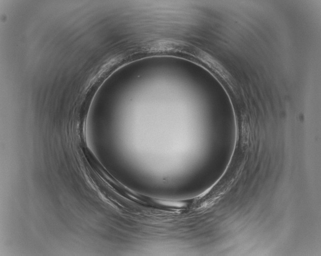X0000062790485200512221354