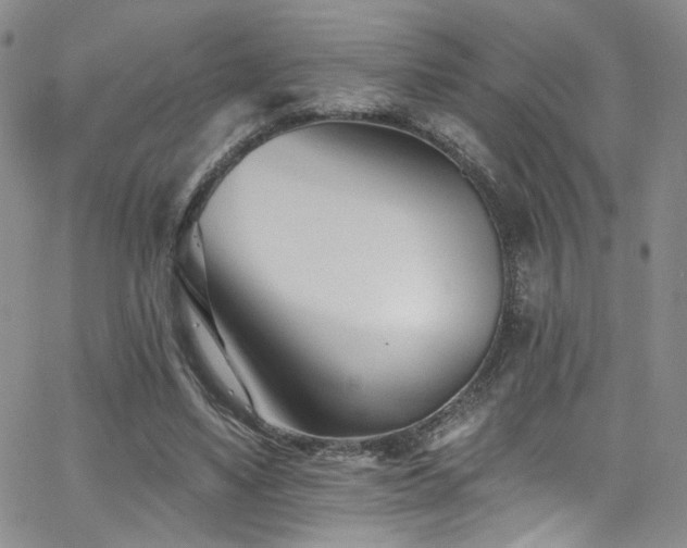 X0000062790491200512221354