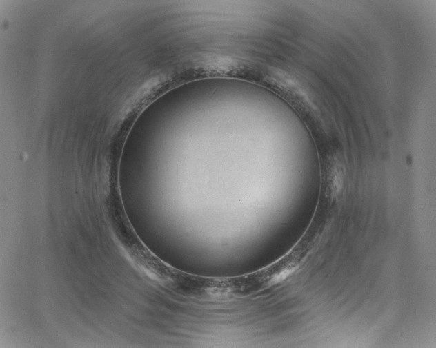X0000062790496200512221354