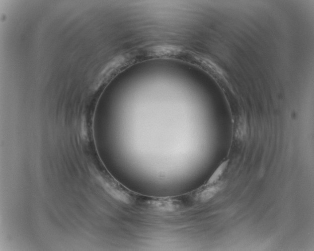 X0000062790524200512221354