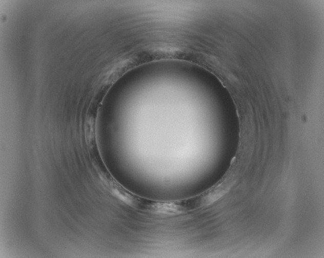 X0000062790528200512221354