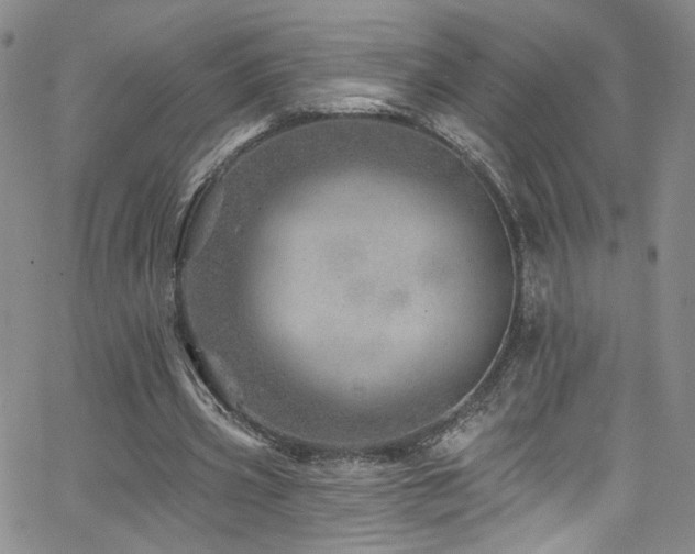 X0000062790533200512221353