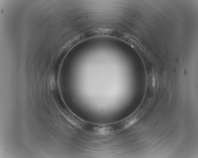 X0000062790564200512221354