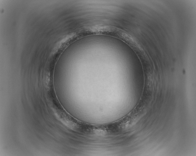 X0000062790592200512221353