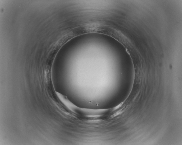 X0000062790601200512221353