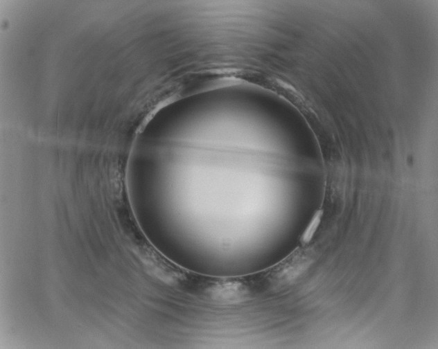 X0000062790609200512221352
