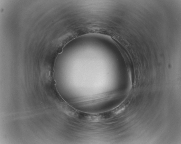X0000062790615200512221352