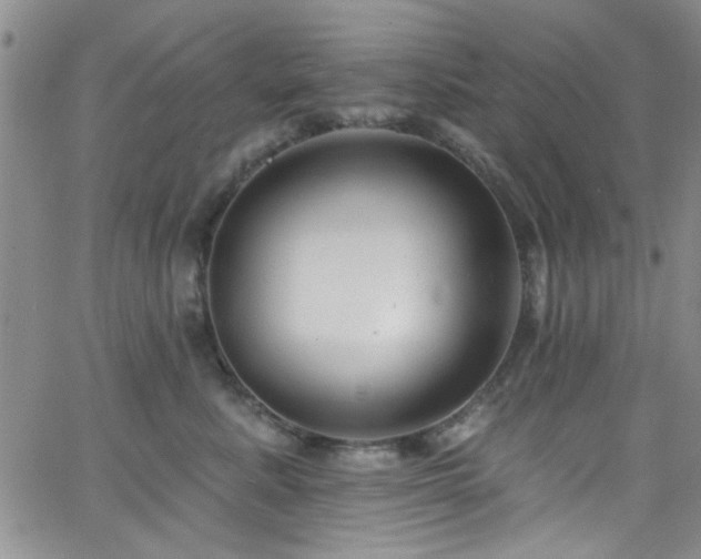 X0000062790619200512221352