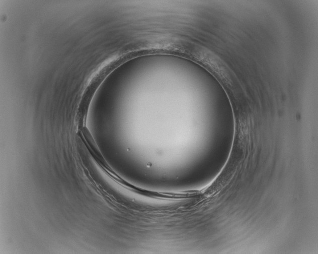X0000062790628200512221351