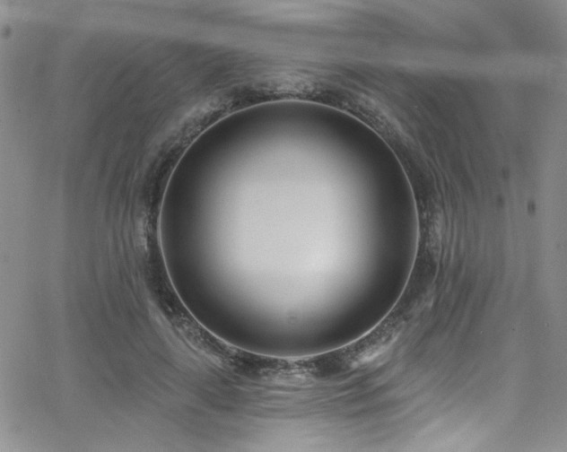 X0000062790643200512221352