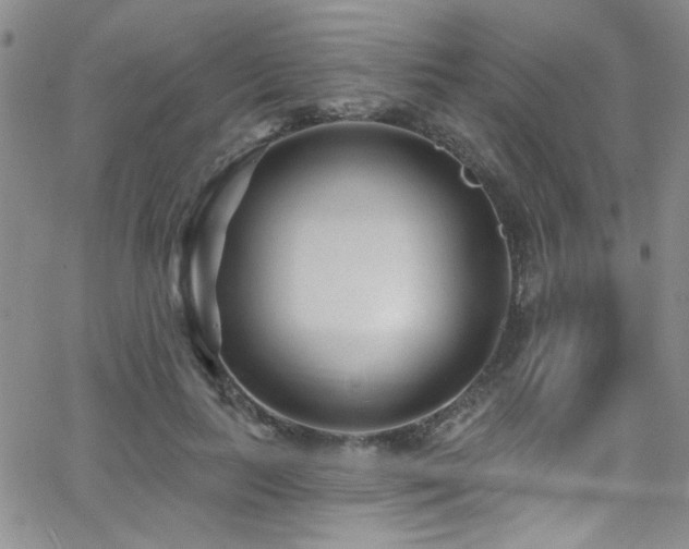 X0000062790647200512221352