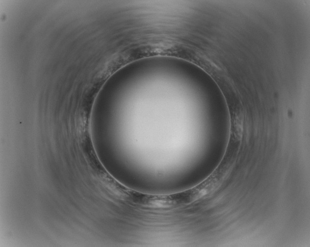 X0000062790657200512221352
