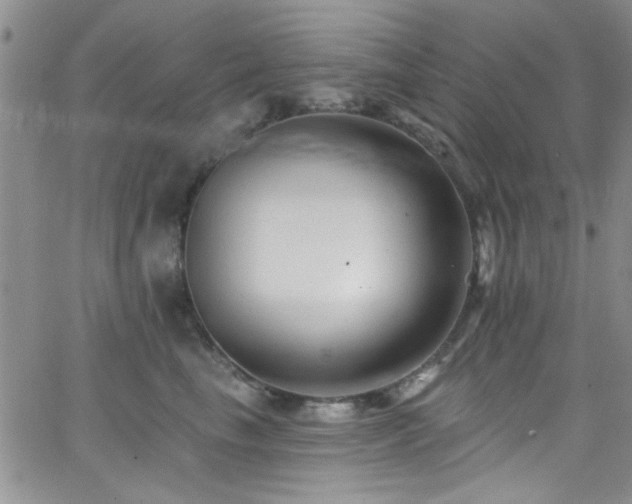 X0000062790665200512221352