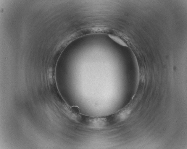 X0000062790670200512221352