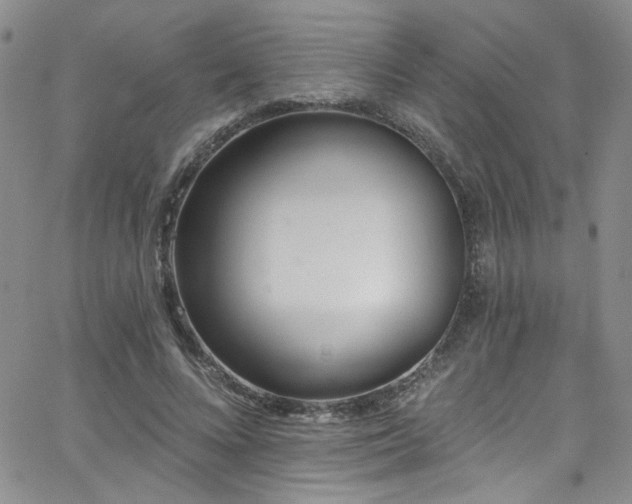 X0000062790688200512221351