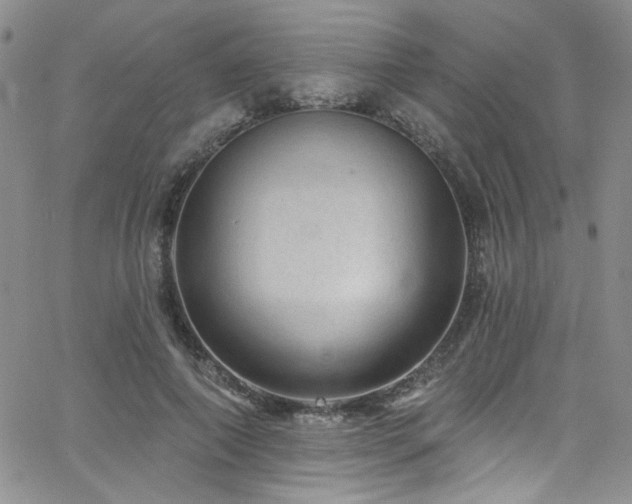 X0000062790690200512221351
