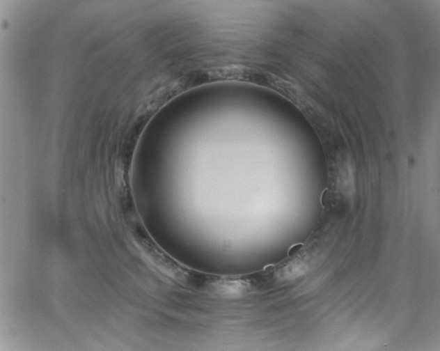 X0000062790711200512221351