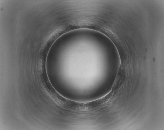 X0000062790735200512221350
