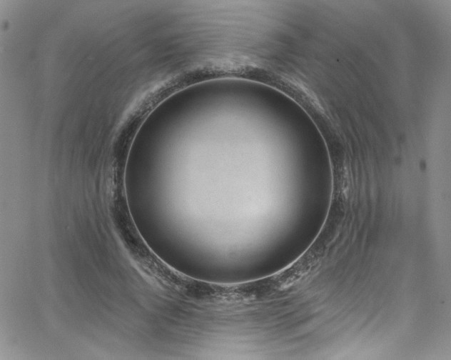X0000062790736200512221350