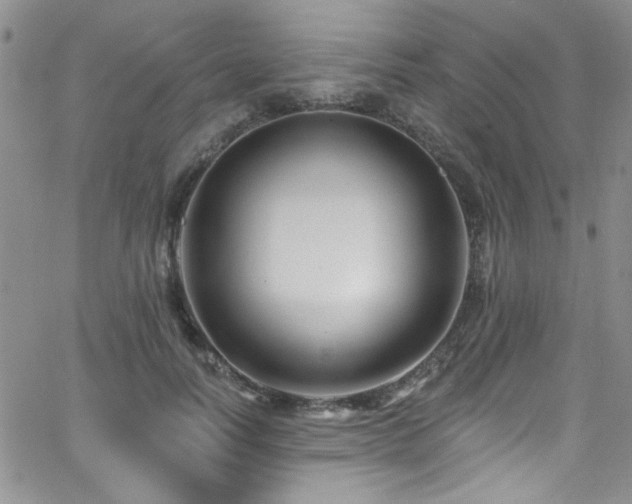 X0000062790746200512221350