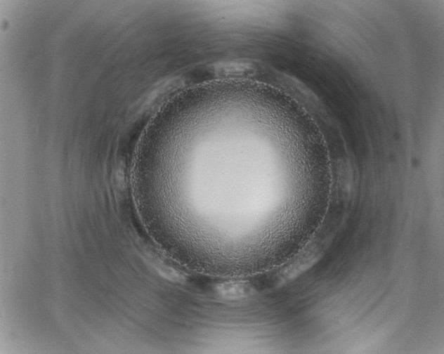 X0000062790761200512221350