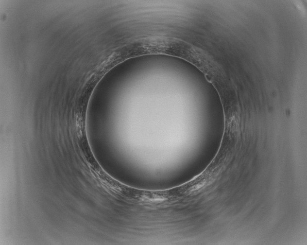 X0000062790772200512221350