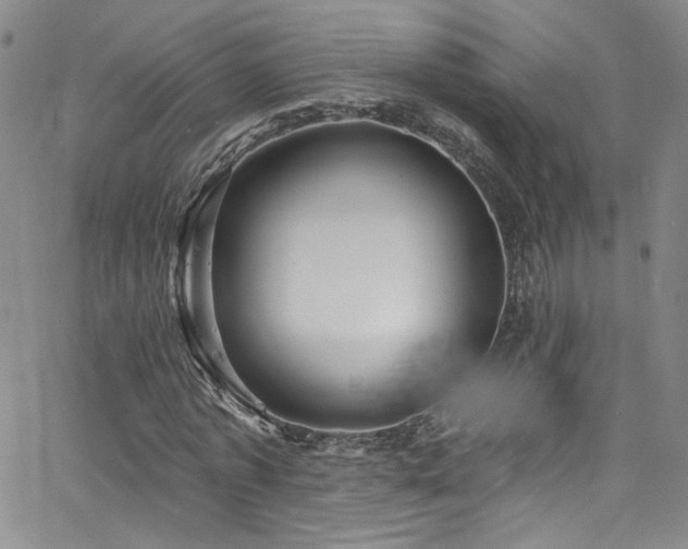 X0000062790773200512221350
