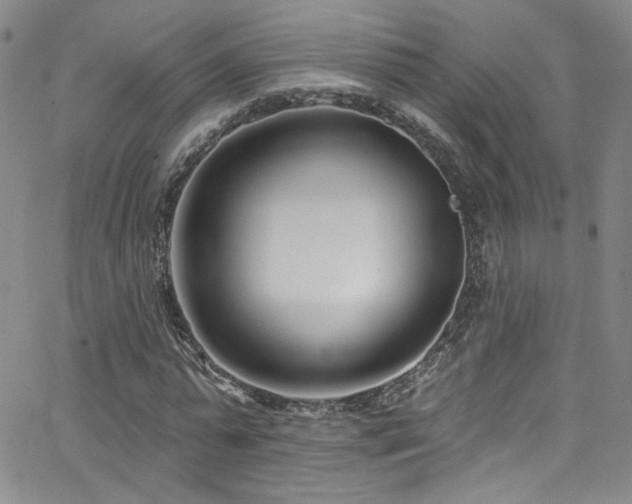 X0000062790775200512221350