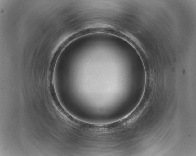 X0000062790783200512221349
