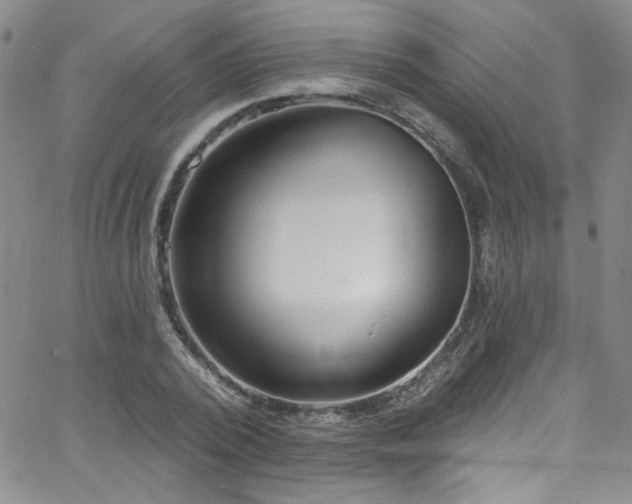 X0000062790784200512221349