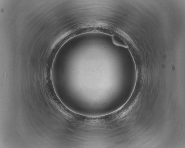 X0000062790826200512221348