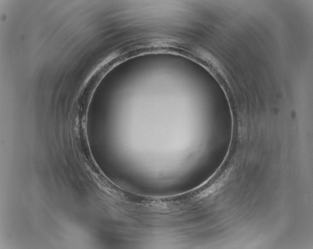 X0000062790827200512221348