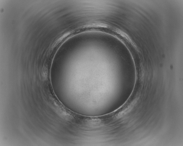 X0000062790833200512221348
