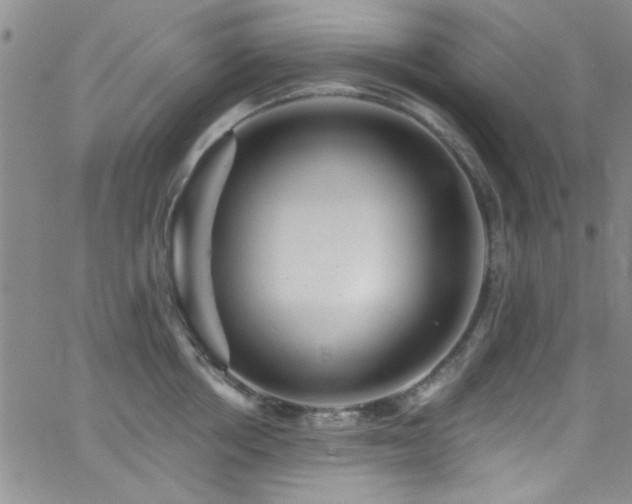 X0000062790858200512221349