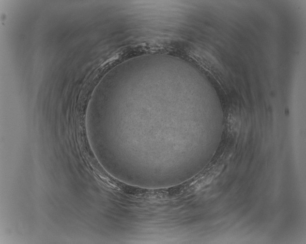 X0000062790865200512221348