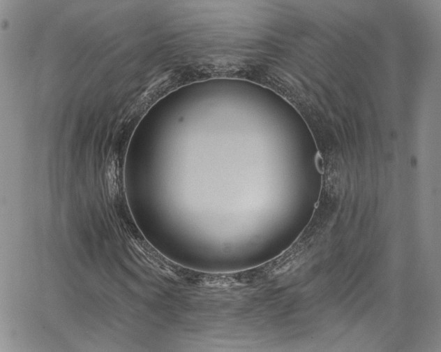 X0000062790866200512221348