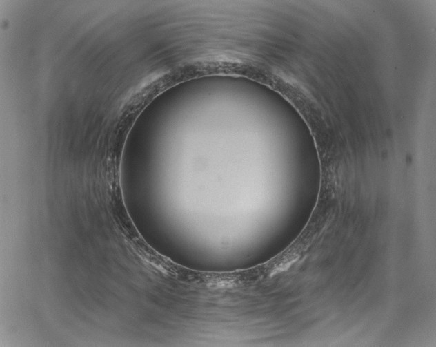 X0000062790870200512221348