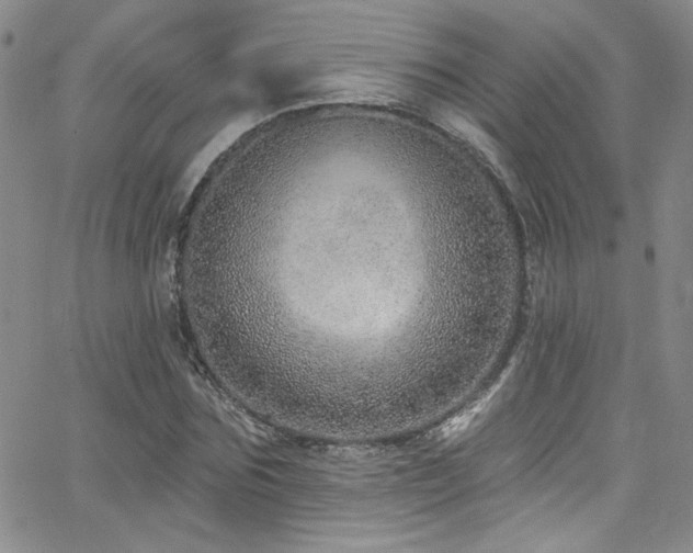X0000062790875200512221348