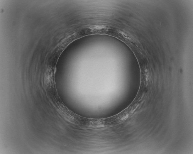 X0000062790914200512221346