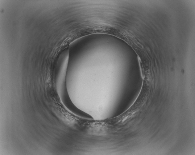 X0000062790916200512221346