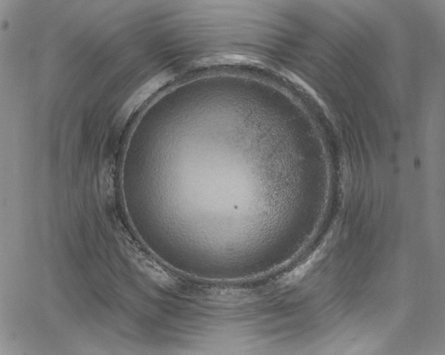 X0000062790921200512221347