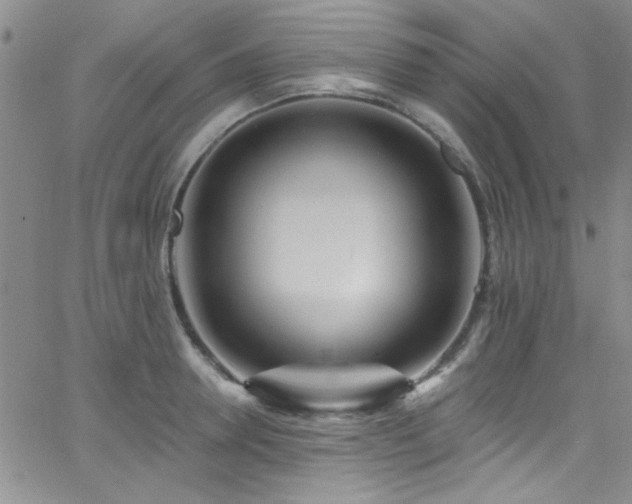X0000062790946200512221347