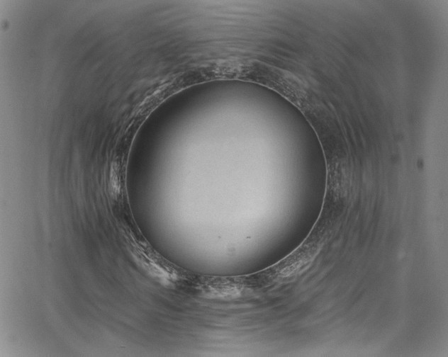 X0000062790962200512221346