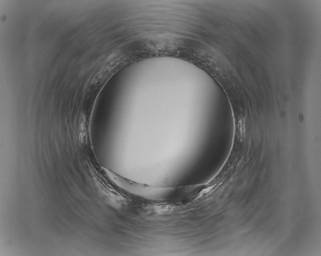 X0000062790963200512221346